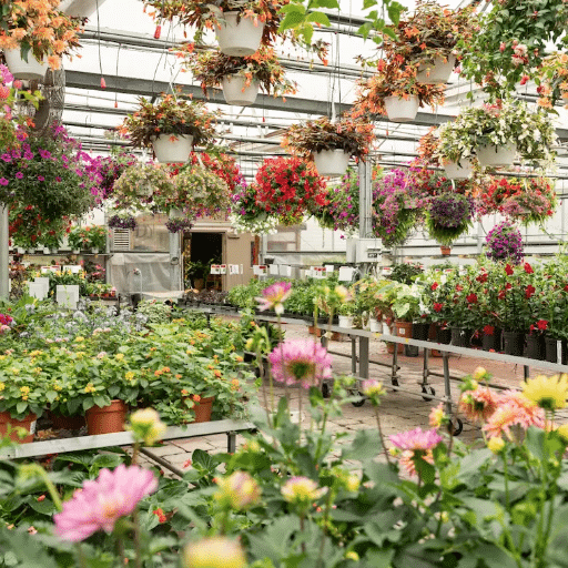 Best Practices for Germinating Seeds Indoors