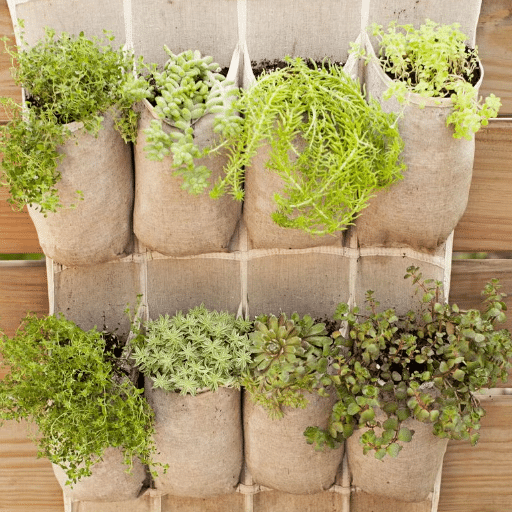 How to Start Your Vertical Garden
