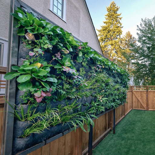 Maintenance and Care Tips