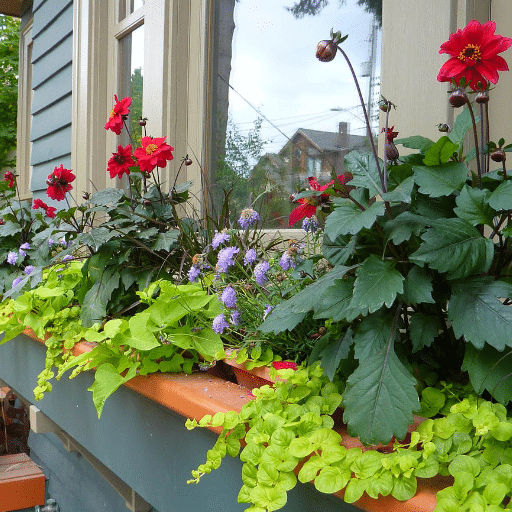 Setting Up Your Indoor Garden